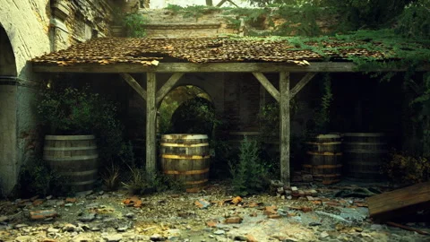 Old French wine cellar with fallen plaster and lush greenery Stock Footage 340661875