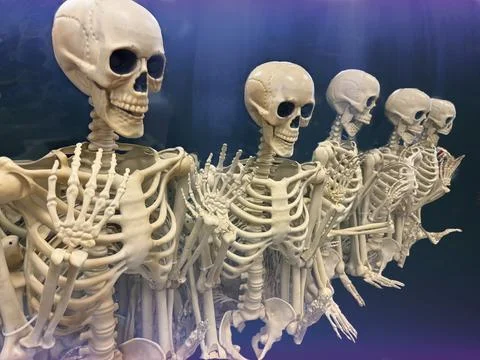Old Friends Stock Photos