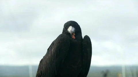 Old frigate close up Stock Footage 758260