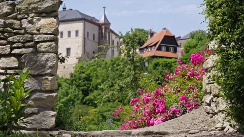 Old Garden Wall Framing Summer Landscape Stock Footage 313844928