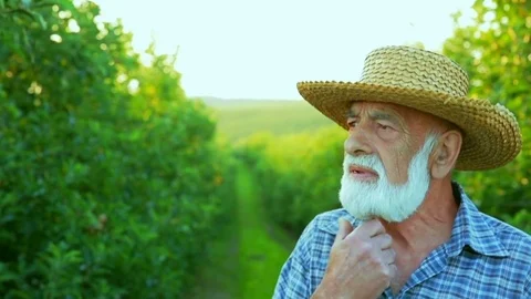An old gardener with a beard in a hat looks thoughtfully in the distance Stock Footage 78023835
