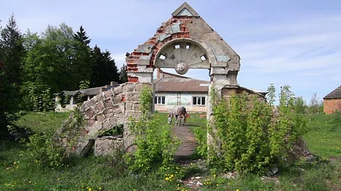 Old gate and the horse Video stock 97716020