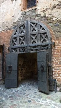 Old Gate Door. Front View of the Door. Door With Huge Nails and Interesting B Фото