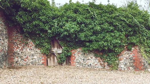 Old gate Stock Footage 88658724