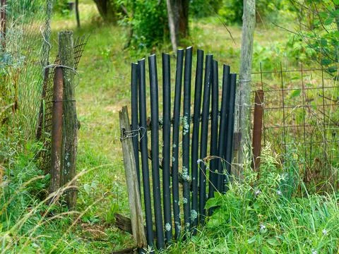 Old gate in the garden Stock Photos