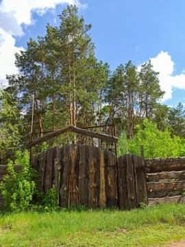 Old gate with a gate in a pine forest Stock Photos