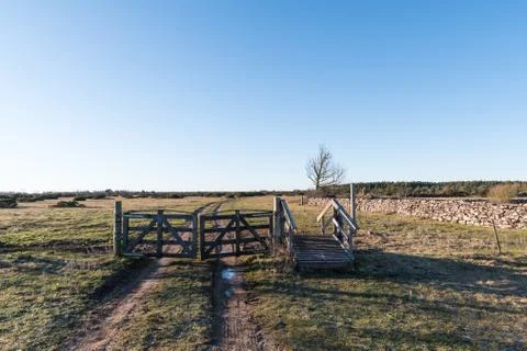 Old gate into a great plain landscape Stock Photos