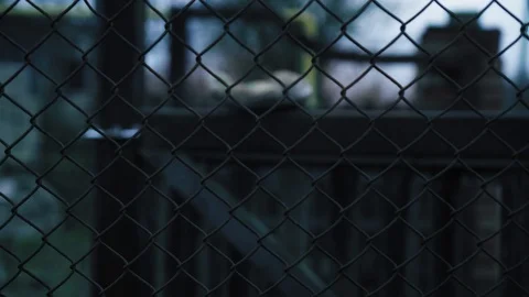 The old gates are swaying in the wind with an abandoned children's toy Stock Footage 85746162