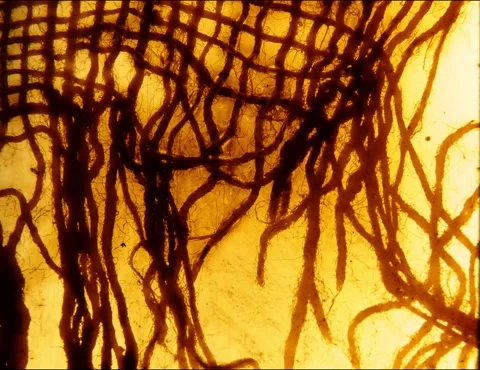 Old gauze mesh printed using the photogram method on 35mm film Stock Footage 298337922