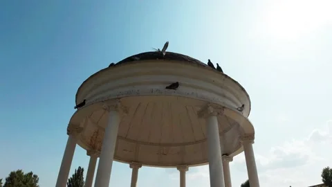 Old gazebo with birds Stock Footage 166375951