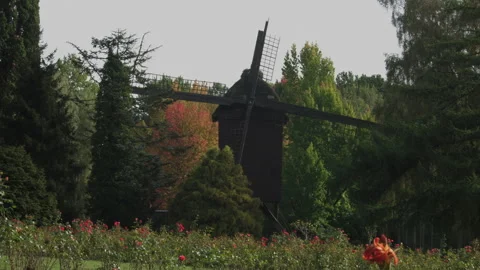 Old German mill in the general plan Stock Footage 253628017