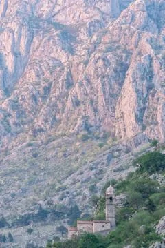 Old gothic castle in the mountains on a background of green grass Stock Photos