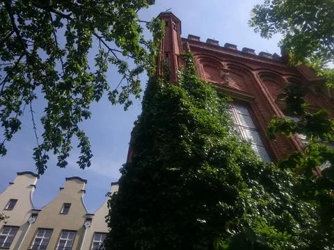 Old gothic red brick building overgrown with ivy Stock Photos