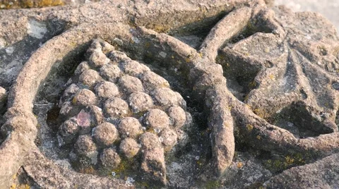 Old Grape and Leaf Carving 스톡 동영상 58686149