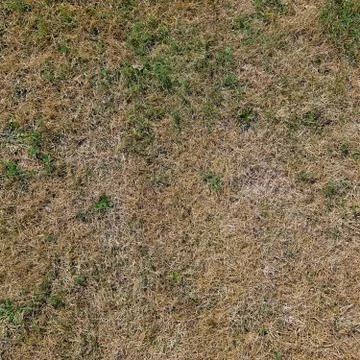Old Grass texture Stock Photos