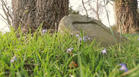 Old grave stone in green grass Stock Footage 36744940