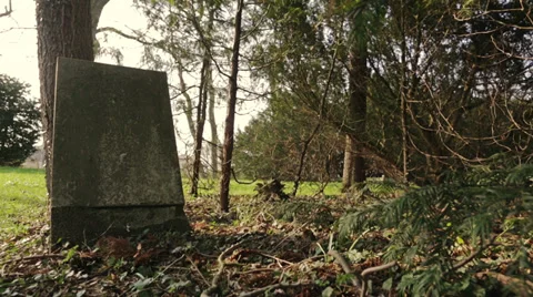 Old grave stone standing in forest Stock Footage 36745307
