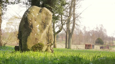 Old grave stone standing on green grass Stock Footage 36744614
