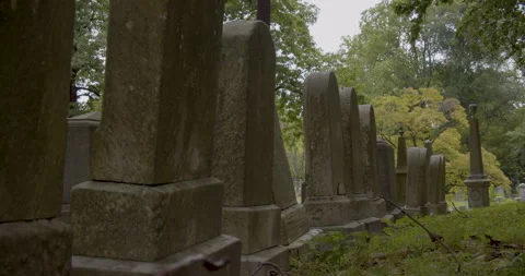 Old grave stones surrounded by trees Stock Footage 135361032