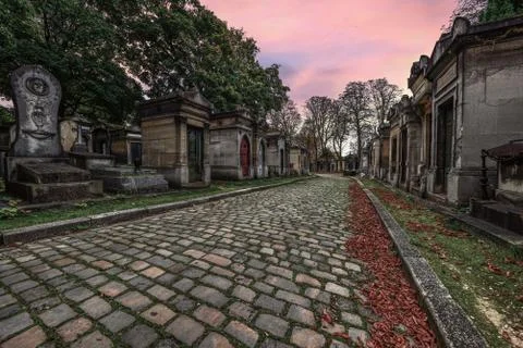 Old grave yard with fallen Фото