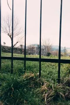 Old graveyard full of grass seen from the bars of the door. Stock Photos