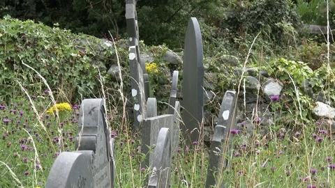 Old Graveyard Gravestones Stock Footage 79591323