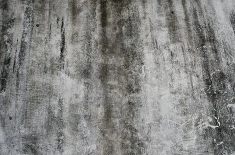Old gray concrete wall covered fungus Stock Photos
