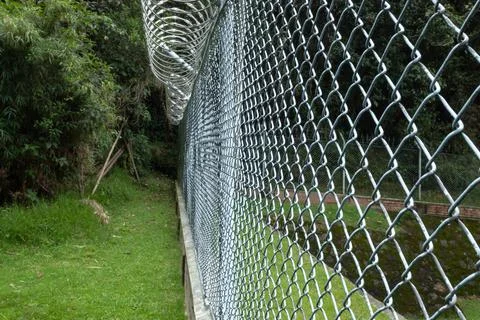 Old gray Diamond grid with circular barbed wire in middle of a andeas rainforest Stock-Fotos