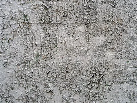 Old gray plaster on the wall. Photos