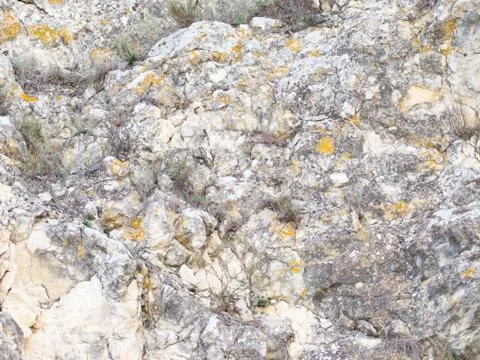 Old gray stone surface texture Stock Photos