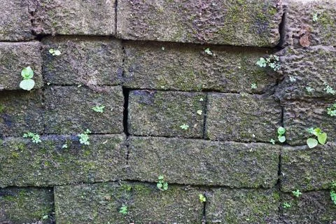 Old Gray  stone wall surface texture Stock Photos