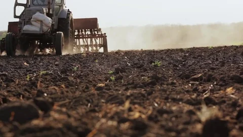 Old Gray Tractor Sows Seeds In the Field Stock Footage 75175077