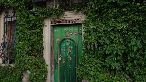 Old Green Door Surrounded by Thick Greenery Stock Footage 338245071