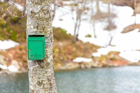 The old green mailbox Foto stock