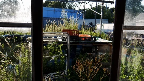 Old greenhouse 스톡 동영상 112773833