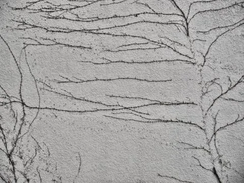 Old grey wall as a background texture Stock Photos