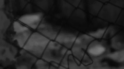 The old grille in the abandoned house Stock-Footage 65188397