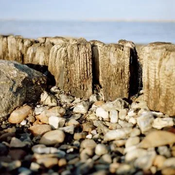 Old groin at the beach 写真素材