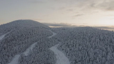 Old grown in ski trails wind around the top of a snow crusted mountain Video stock 122690950
