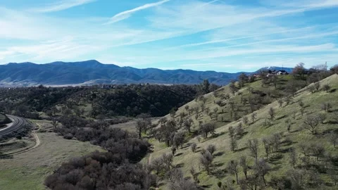 Old Growth Forest, Pine Trees, Oak Trees Vidéo 280325456