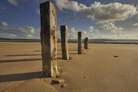 Old groynes stand on the beach at Crow Point in Devon under a clear sky with Stockfoto's