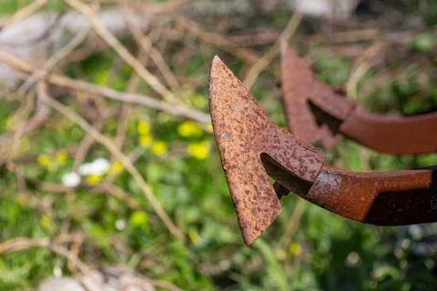 Old grubber with green background. Stock Photos