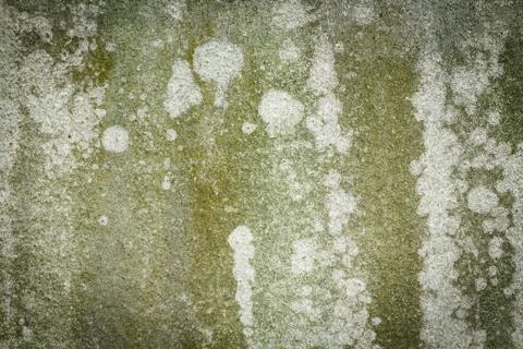 Old grunge cement background Stock Photos