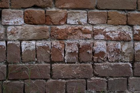 Old Grunge Wall Texture Background, Mud texture grunge background Old Grunge  Foto stock