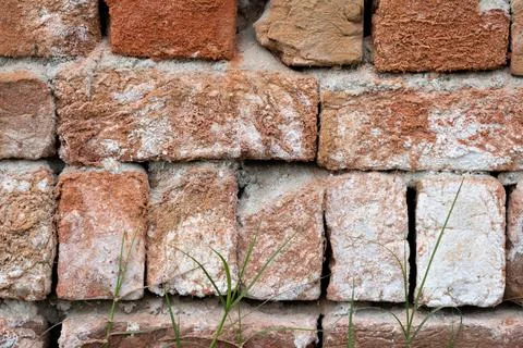 Old Grunge Wall Texture Background, Mud texture grunge background Old Grunge  Stock Photos