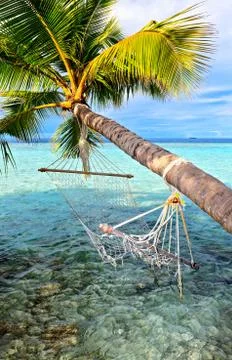 Old hammock, attached to a palm tree on a  beach in The Indian Ocean, Maldive 写真素材
