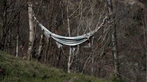 Old hammock isolated in the woods moved by a light wind. Vidéo 274403618