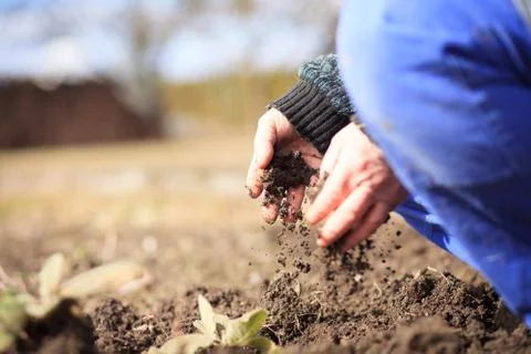 An old hand of active senior pulling out weed of his huge botanic garden Stock Photos