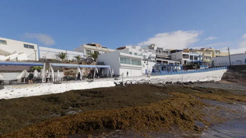 The Old Harbour in El Cotillo Stock Footage 302310476