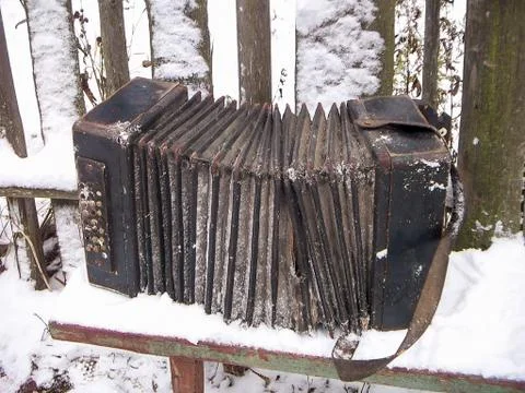 Old harmonica Bologovka Stock Photos